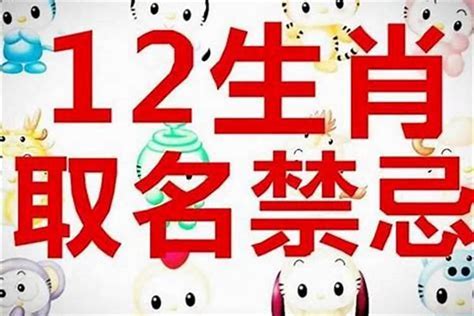 2008屬鼠|2008年属鼠是什么命，08年出生五行属什么